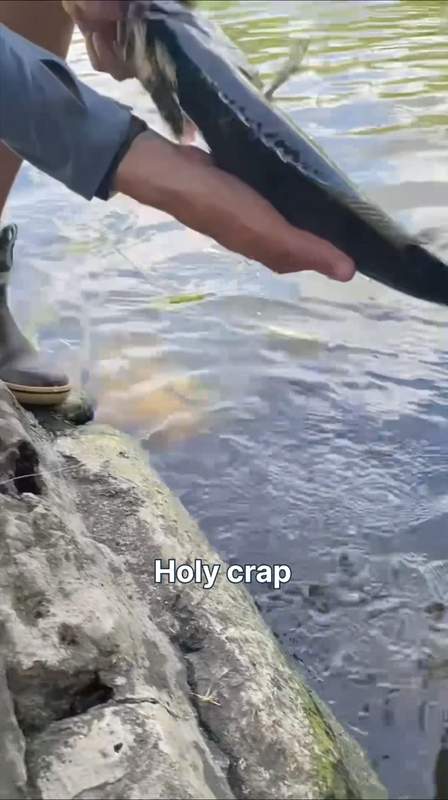 Fishbrain Facebook ad