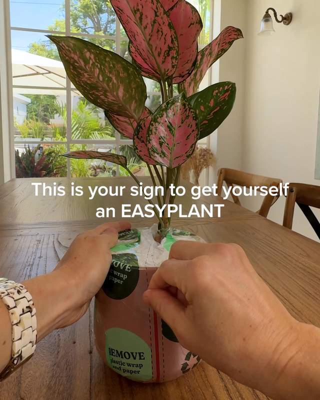 easyplant Facebook ad