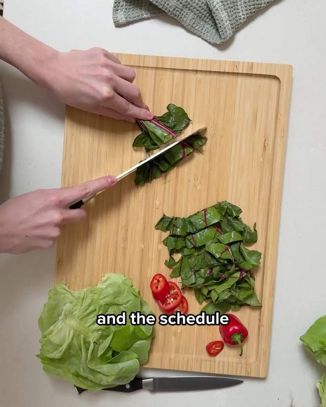 Gardyn Facebook ad