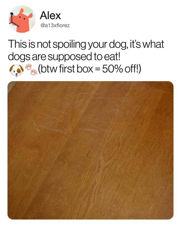 Ultimate Dog Parent Guide Facebook ad