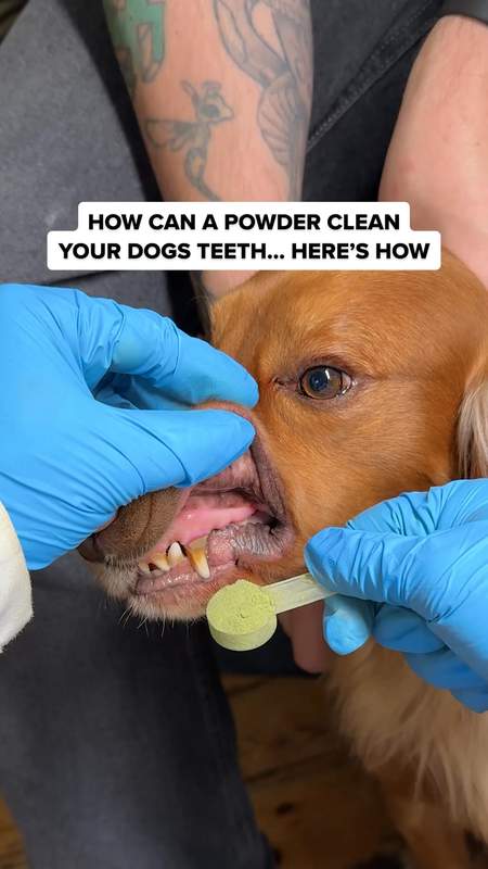 PetLab Co. Facebook ad