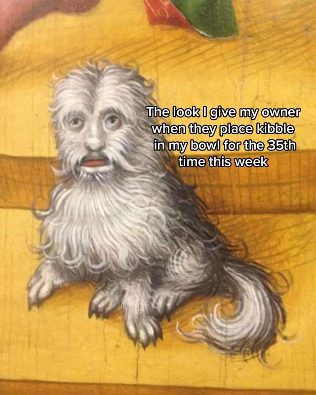 The Farmer's Dog Facebook ad
