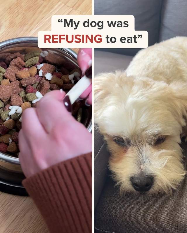 So Yummy Facebook ad