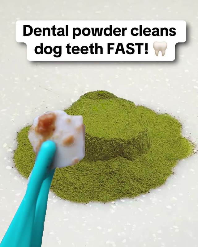 PetLab Co. Facebook ad