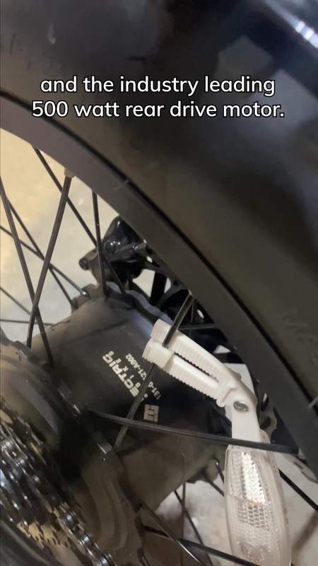 Lectric eBikes Facebook ad