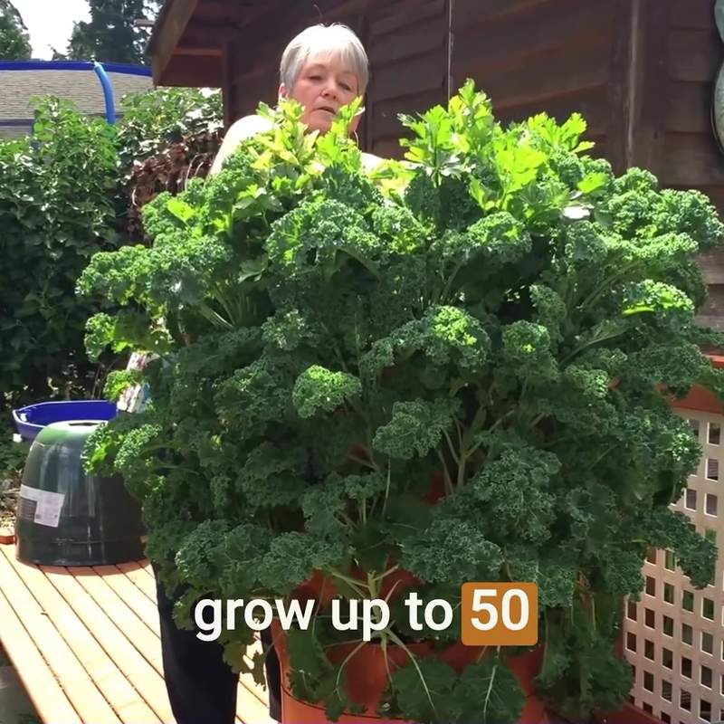 Garden Tower Project Facebook ad
