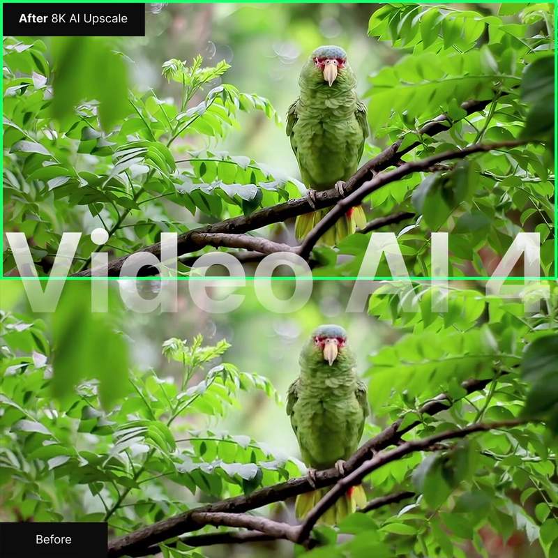 Topaz Labs Facebook ad