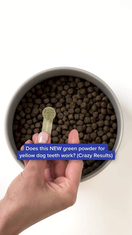 PetLab Co. Facebook ad