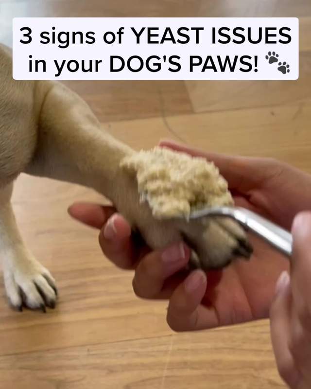 PetLab Co. Facebook ad