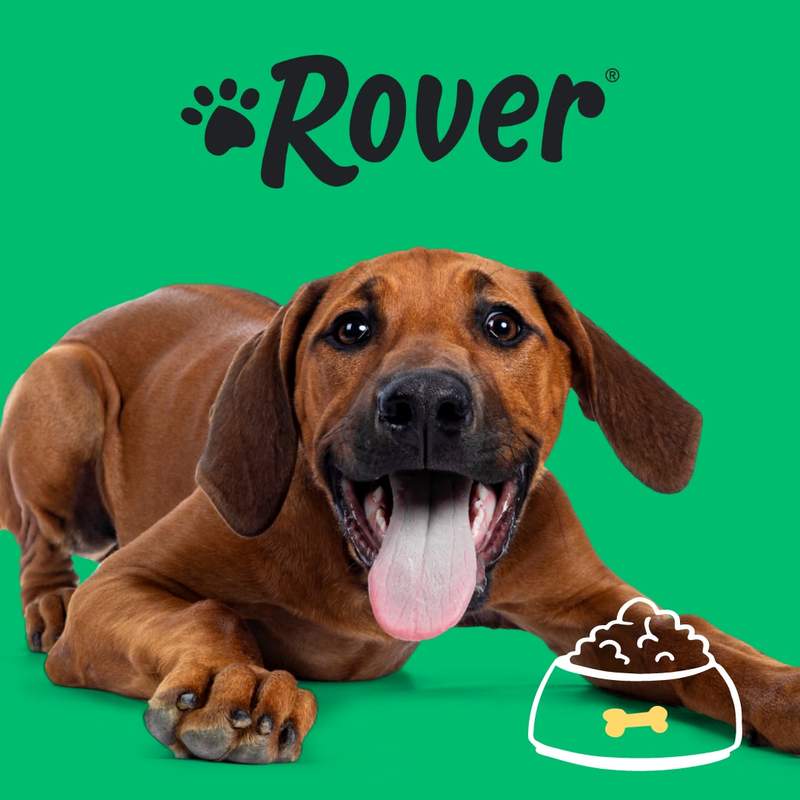 Rover.com Facebook ad