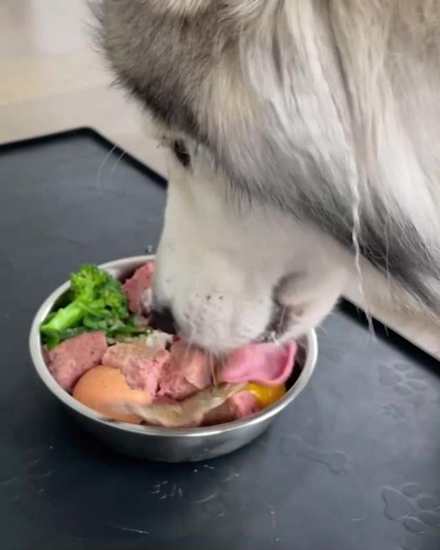 We Feed Raw Facebook ad