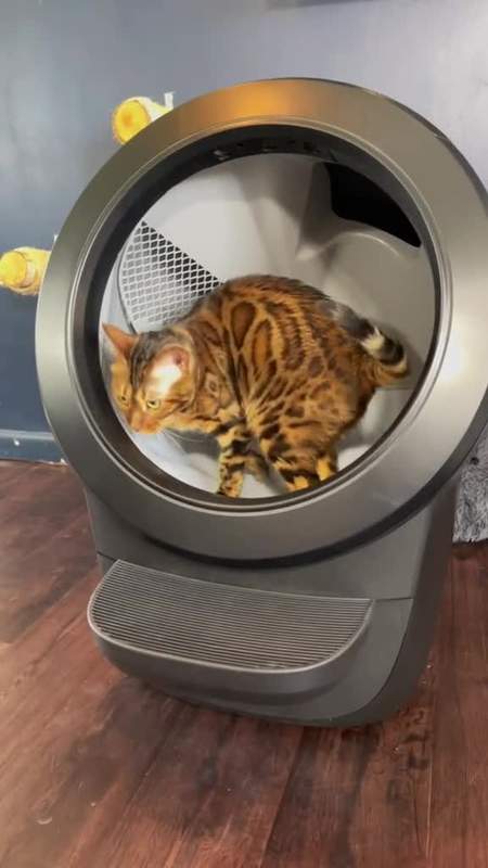 Litter-Robot by Whisker Facebook ad