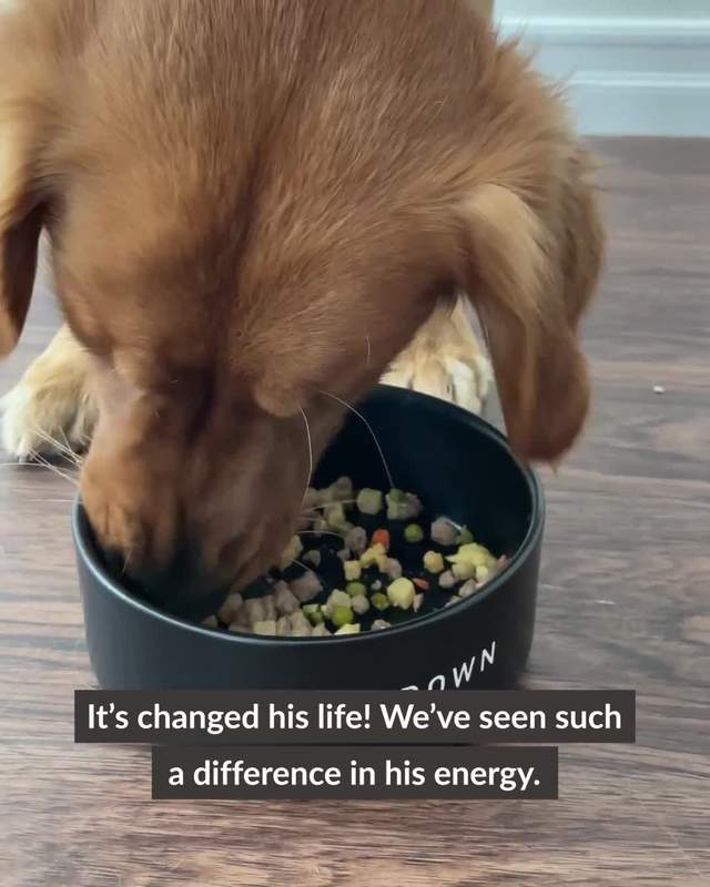 Nom Nom Facebook ad