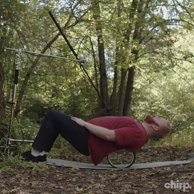 Chirp Facebook ad