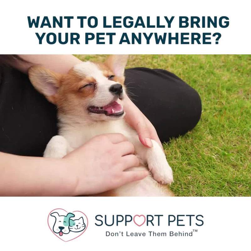 Support Pets Facebook ad